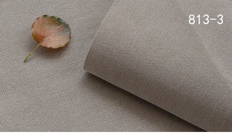 Sahara Camel | EB 813 - 03