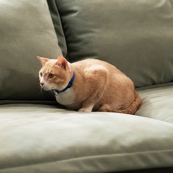 Fabric Pilling 101: Why It Happens (and How to Fix It Like a Pro)