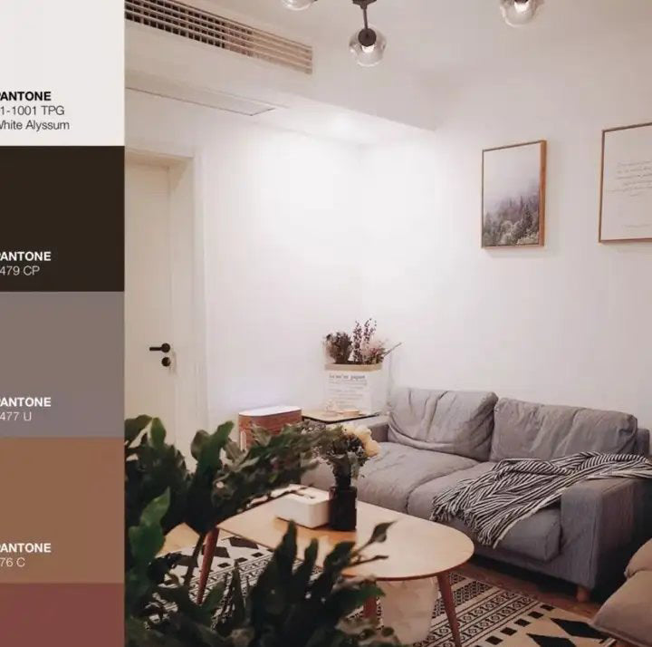 How to Choose Colors for Your Home