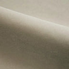 Apricot | WB PBV2042 - 03