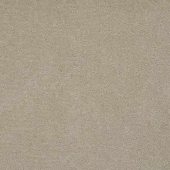 Apricot | WB PBV2042 - 03