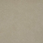 Apricot | WB PBV2042 - 03