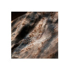 BARK · Custom Wall Art