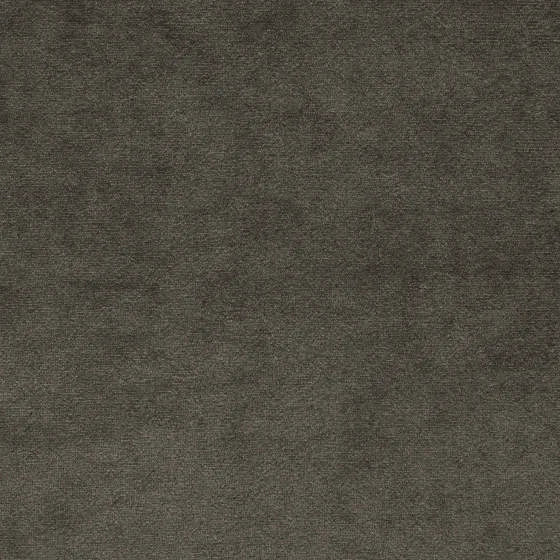 Camel Gray | WB PBV2042 - 05