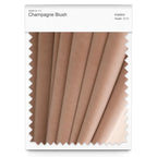 Champagne Blush Royale