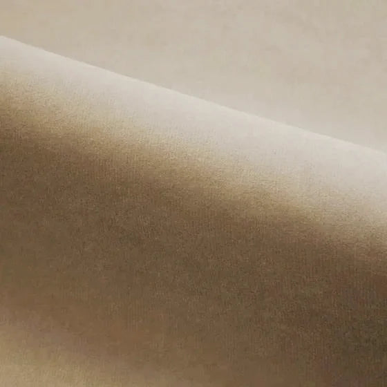 Chestnut | WB PBV2042 - 10