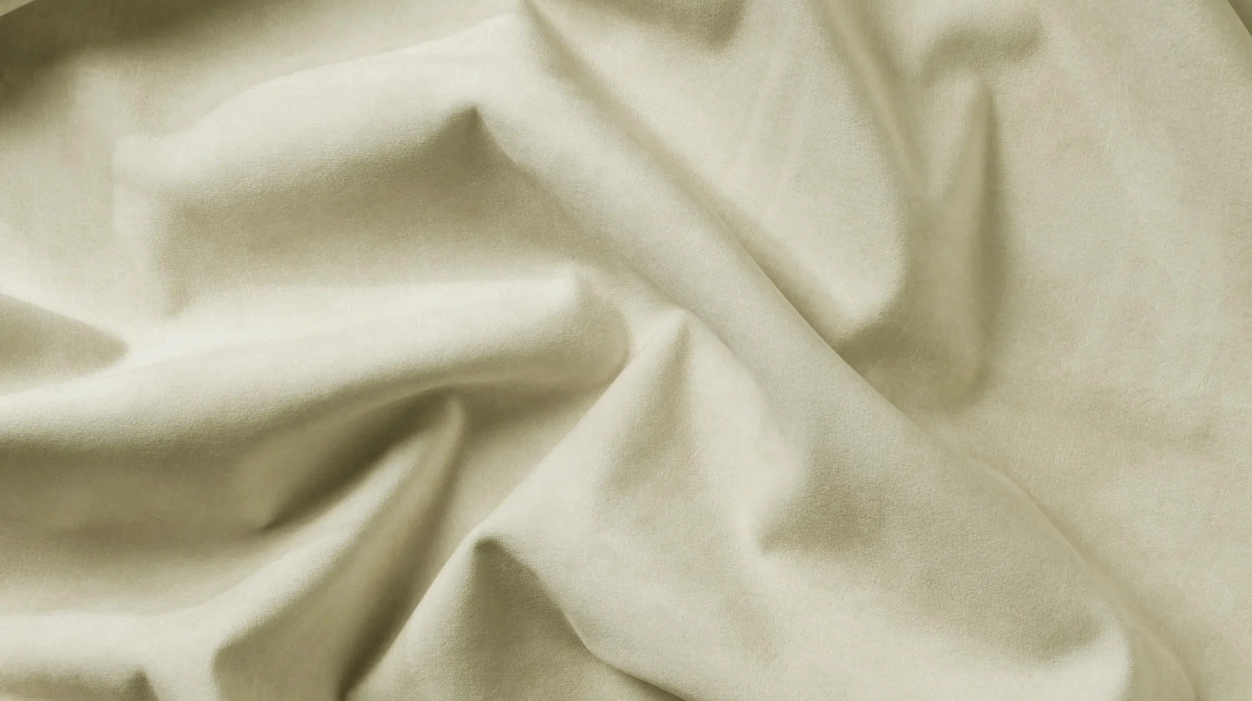 Cream-colored | WB PBV2042 - 01