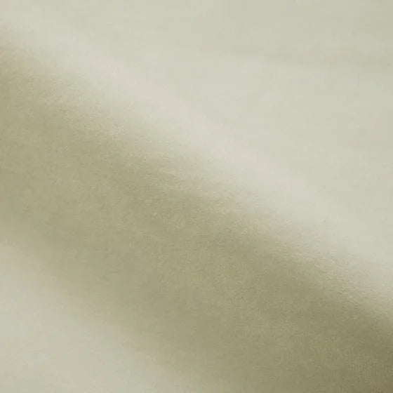 Cream-colored | WB PBV2042 - 01