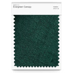 EB 813 - 08 | Evergreen Canopy