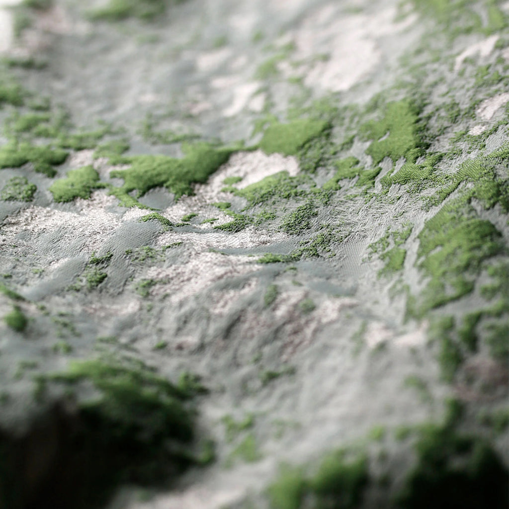 Green of Spring · Custom Wall Art