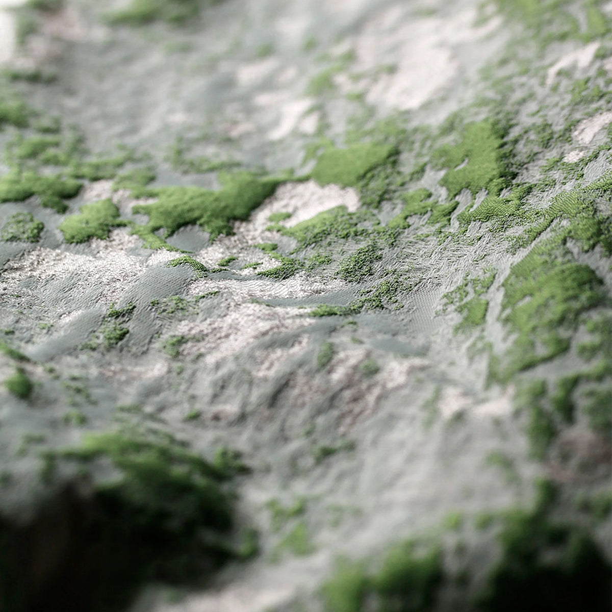 Green of Spring · Custom Wall Art