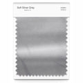 Soft Silver Gray