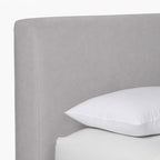 Light Gray
