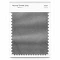 Neutral Smoke Gray