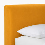 Canary Yellow