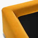 Canary Yellow