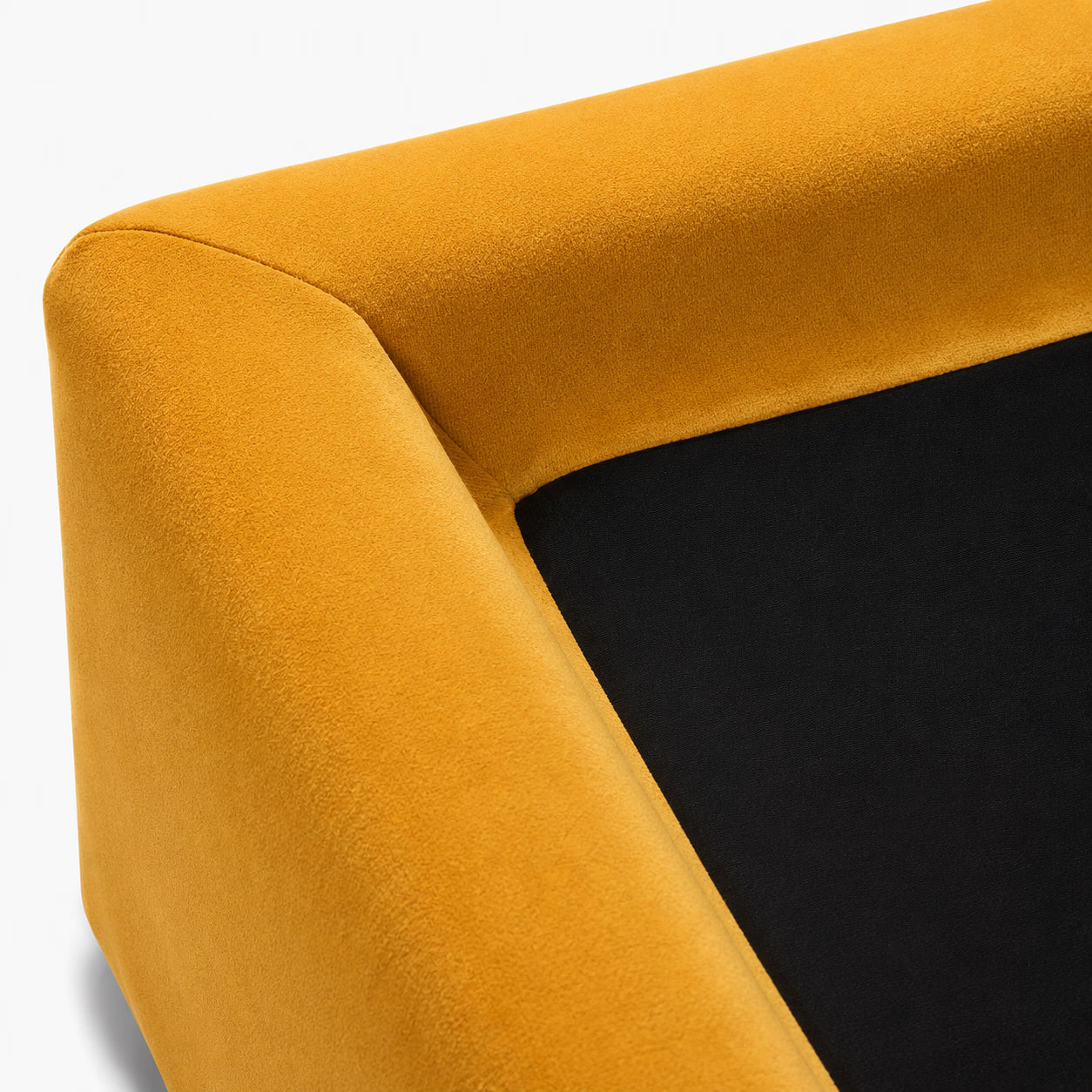 Canary Yellow