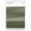 Muted Sage Olive
