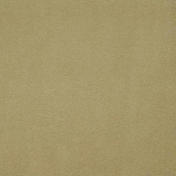 Matte Yellow | WB PBV2042 - 33