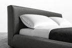 Mole Minotti YX-35 | Bed Frame Cover