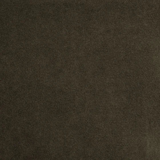 Olive Brown | WB PBV2042 - 09