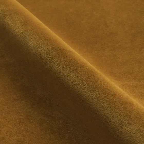 Pumpkin-colored | WB PBV2042 - 31