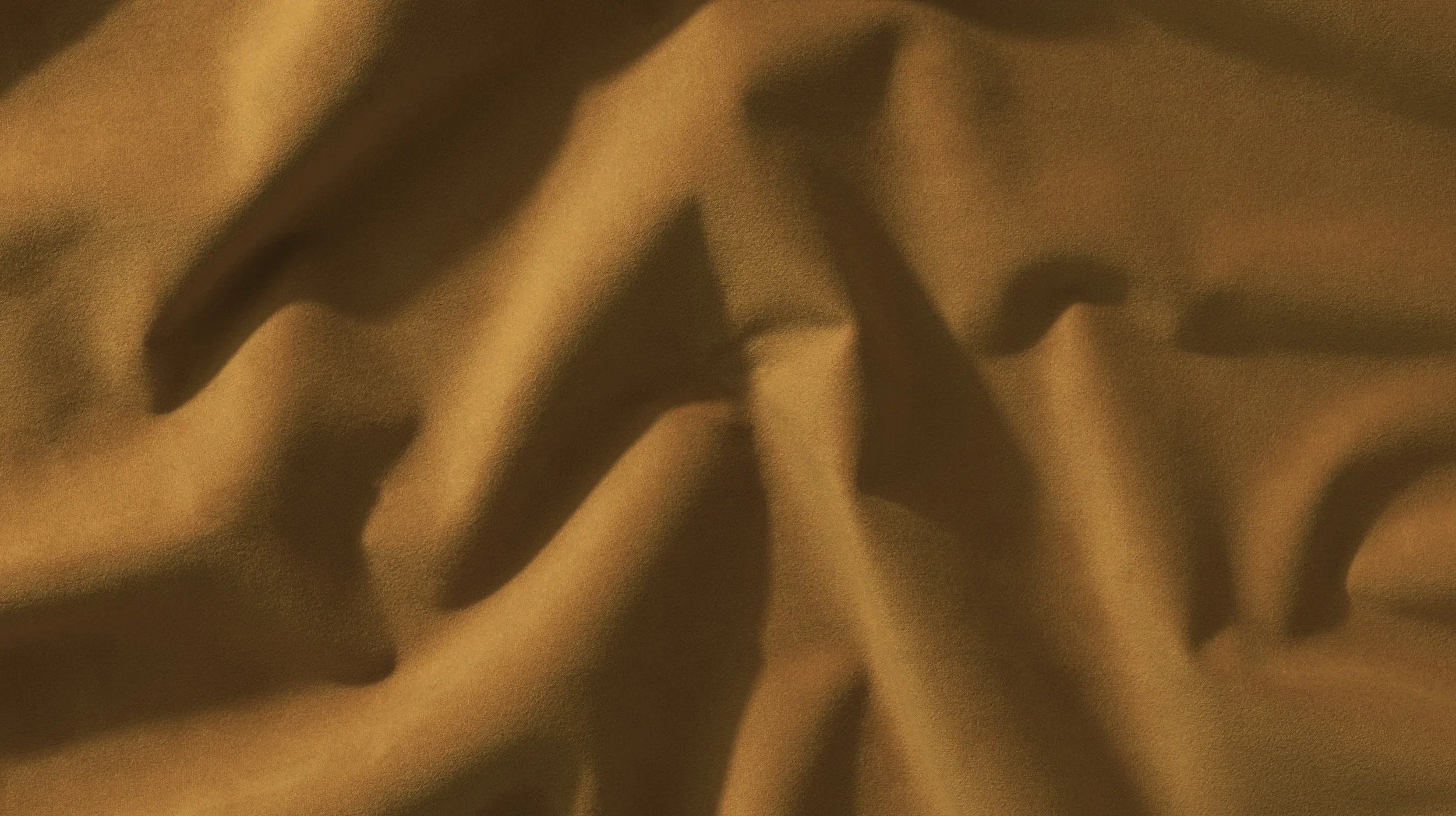 Pumpkin-colored | WB PBV2042 - 31