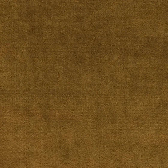 Pumpkin-colored | WB PBV2042 - 31