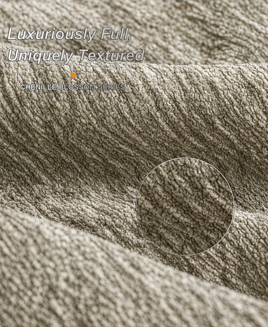 Sahara Camel