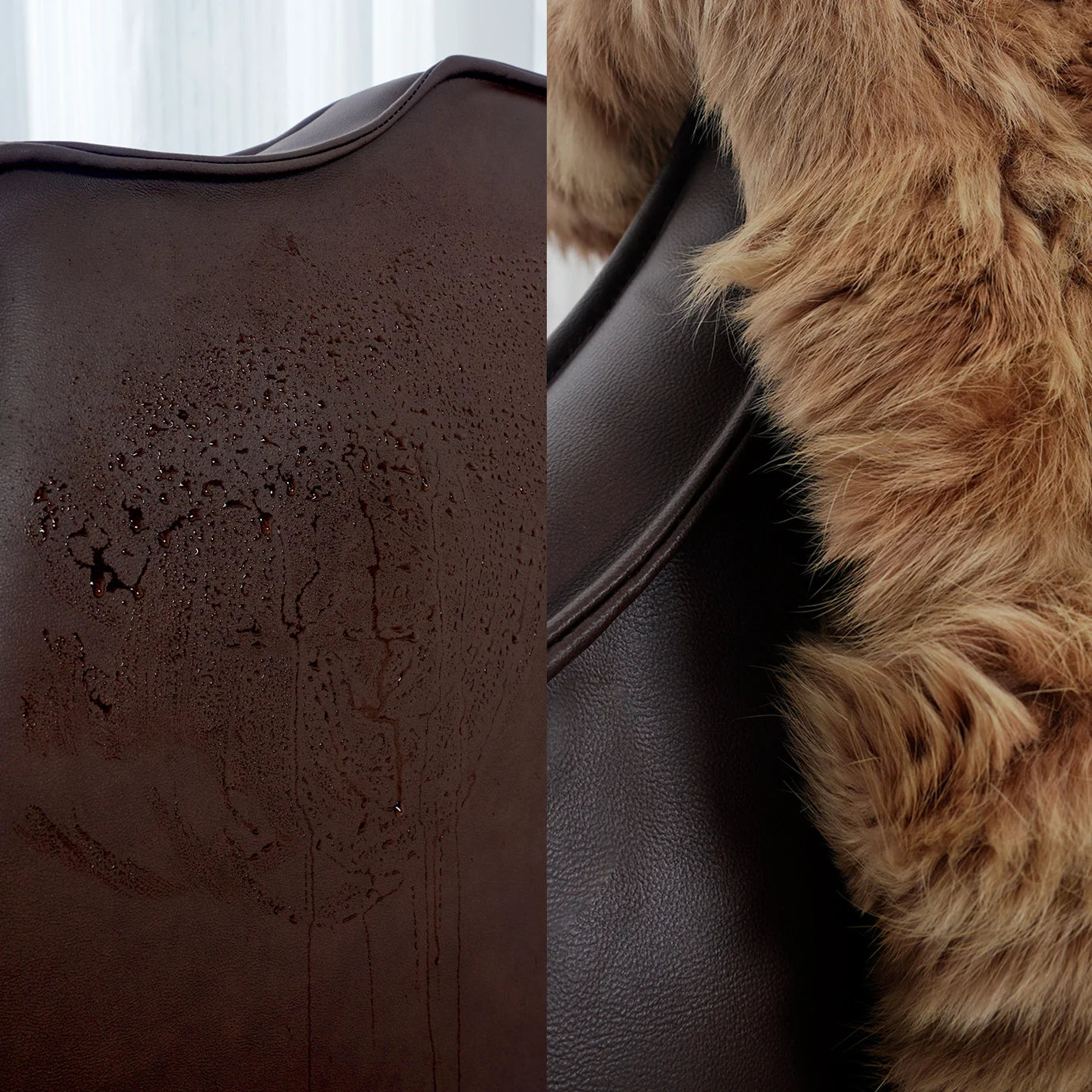 Bed Frame + Headboard Cover | Terravia - Espresso